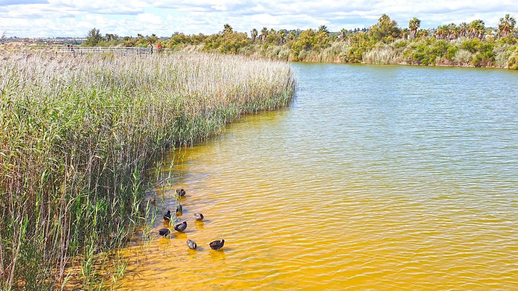 Cantinho Do Mocho Pêra Esterno foto